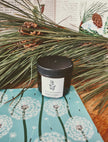 Baume pin blanc et pissenlit 50 ml