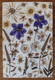 Carte postale Chant d'été