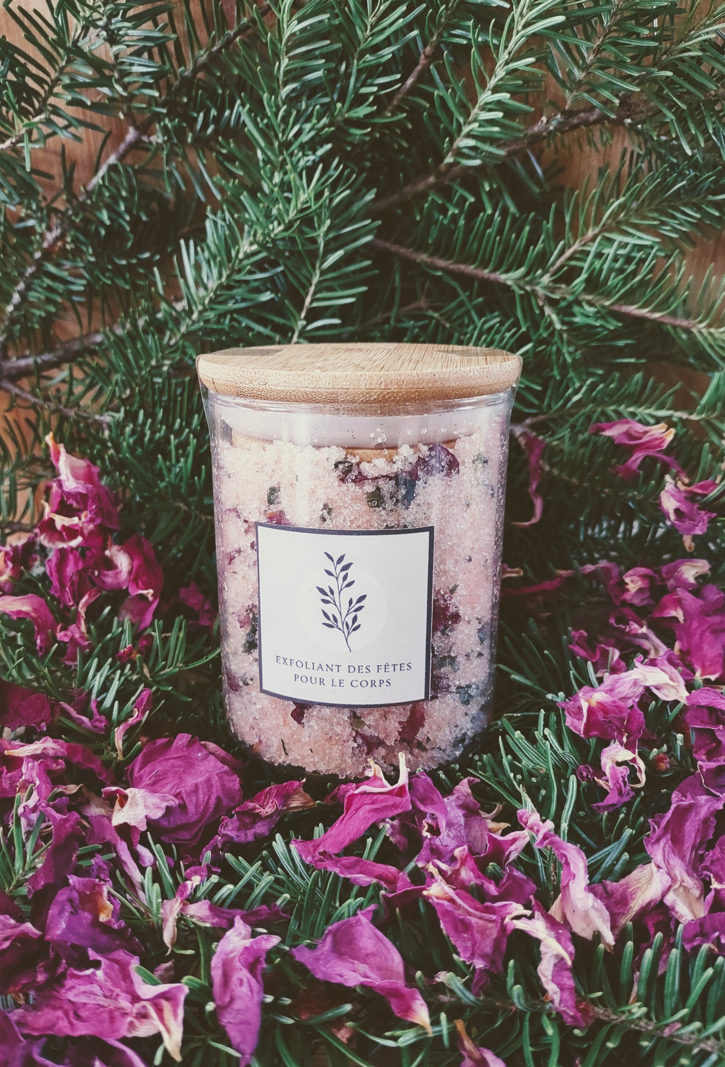 Exfoliant des fêtes pour le corps