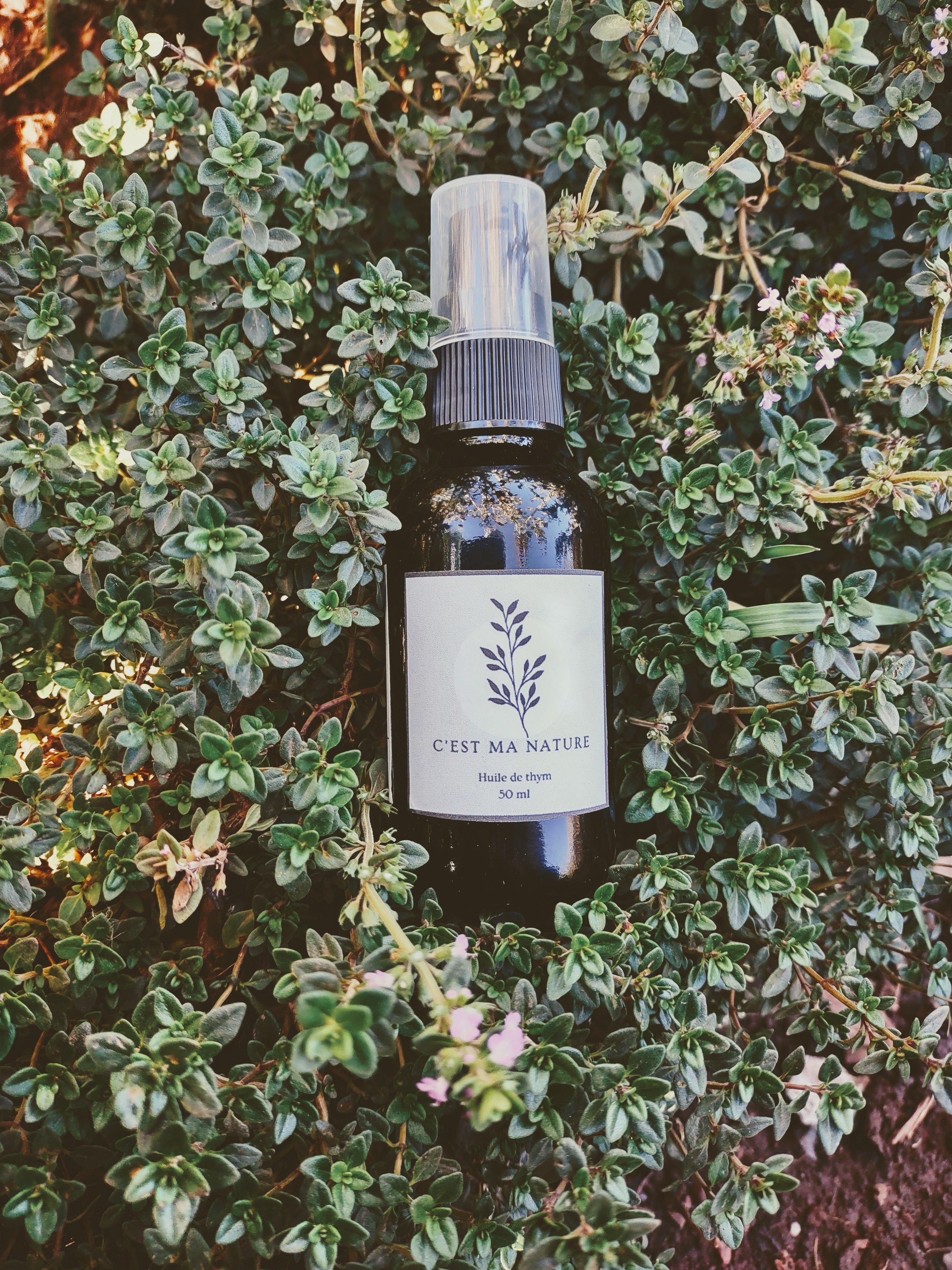 Huile à massage au thym 50 ml