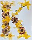 Lettre florale K