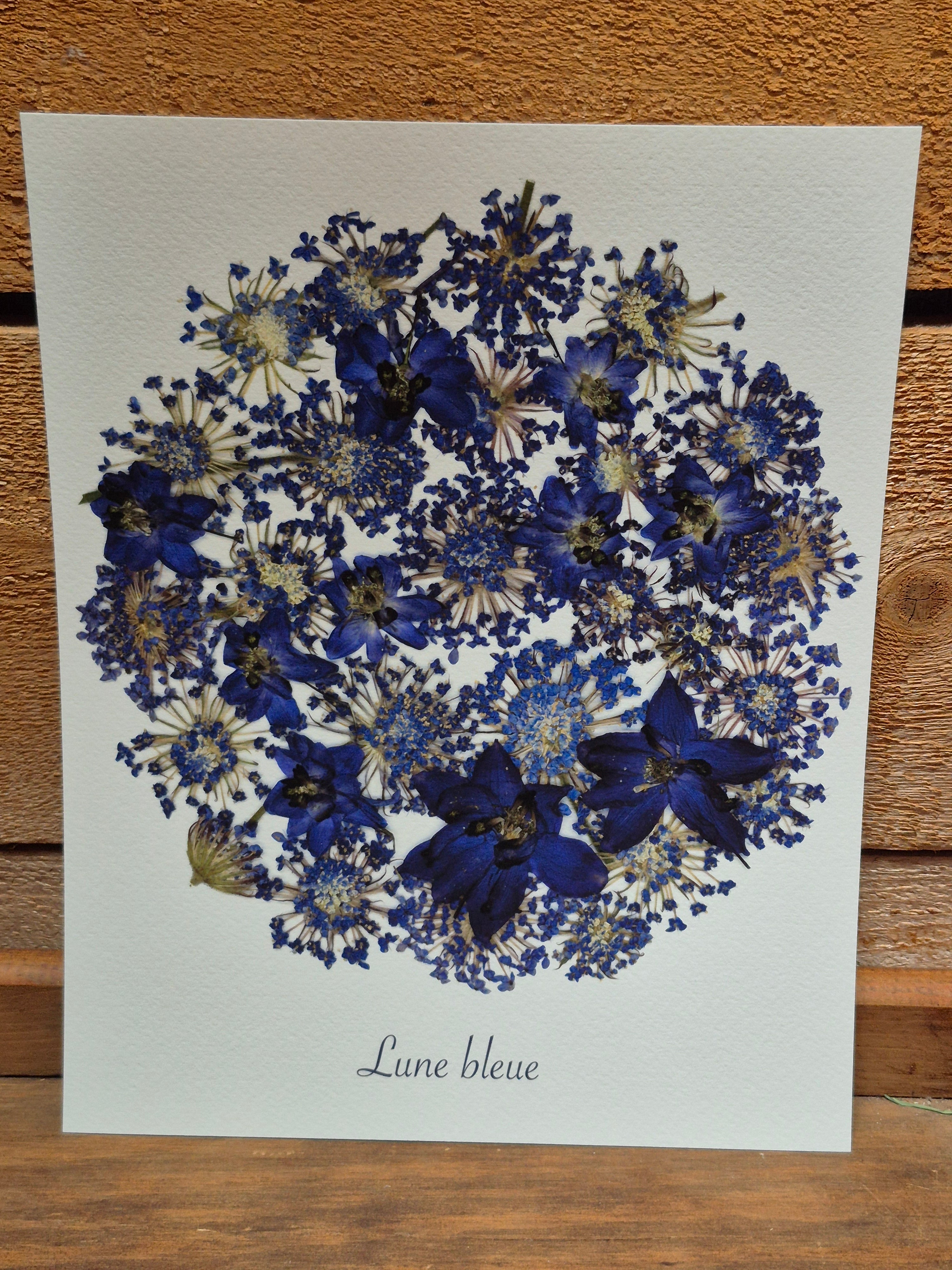 Oeuvre florale - Lune bleue