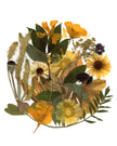 Cartes de souhaits