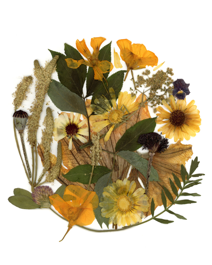Cartes de souhaits