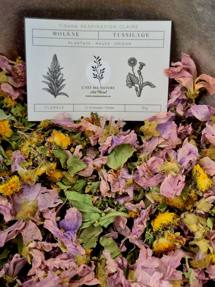 Tisane Respiration claire