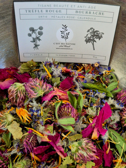 Tisane Beauté anti-âge