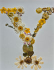 Lettre florale Y