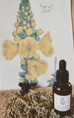 Huile mal d'oreilles 30 ml