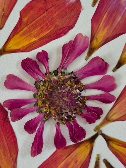 Oeuvre florale - Lune rose