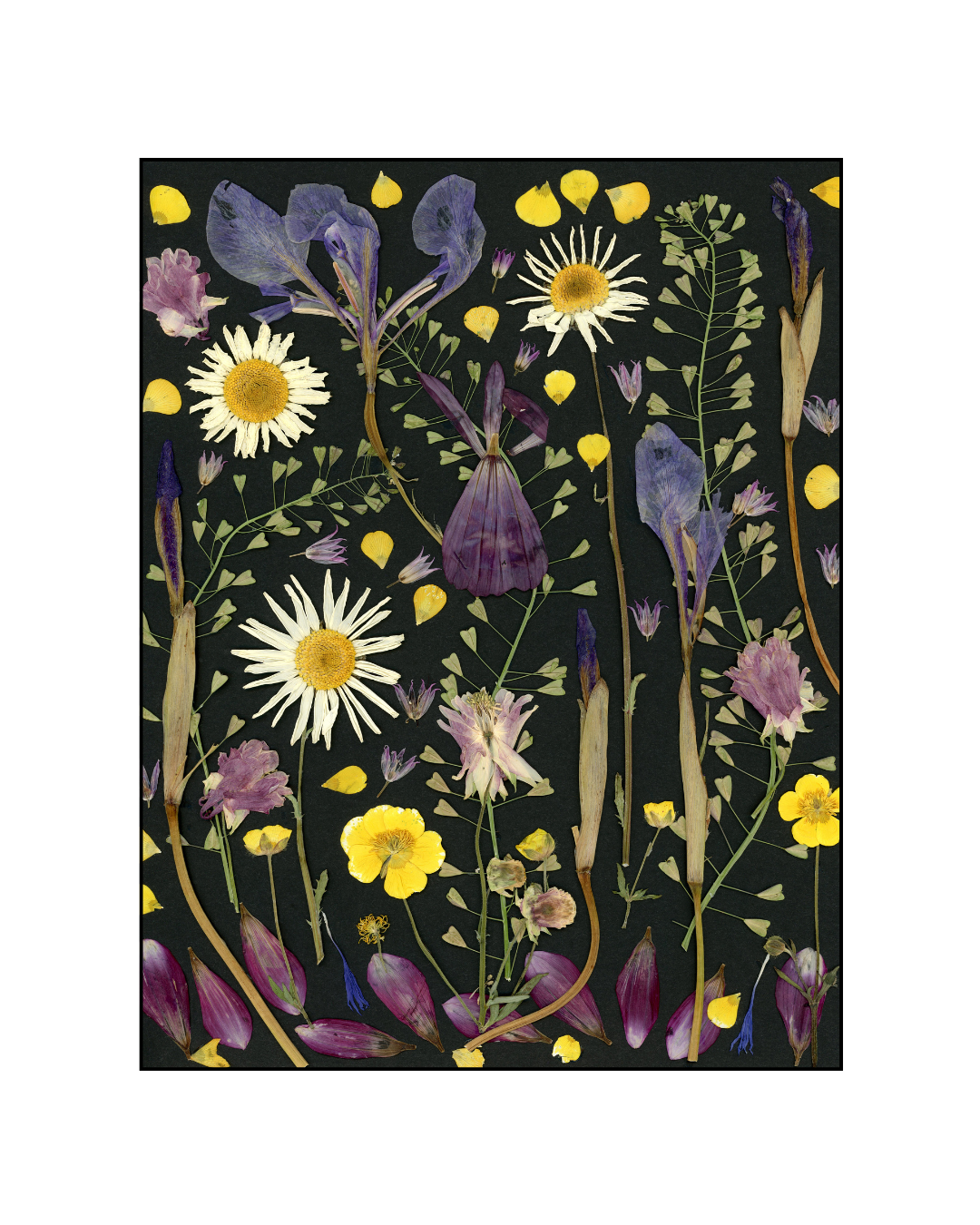 Cartes de souhaits