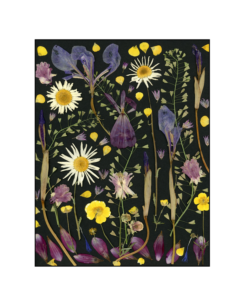 Cartes de souhaits