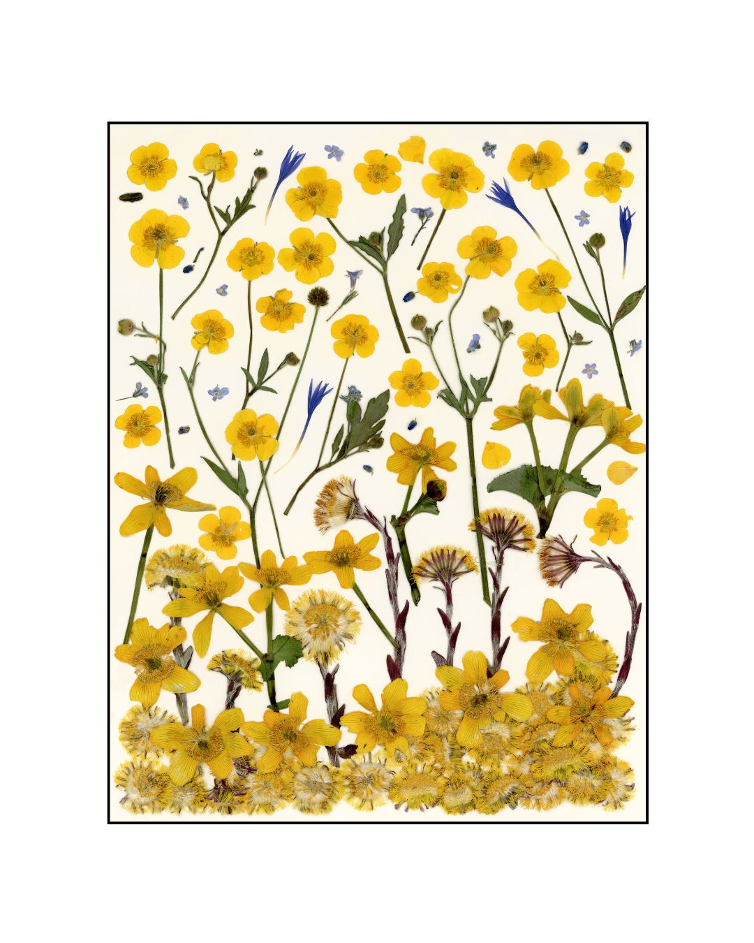 Cartes de souhaits