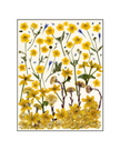 Cartes de souhaits