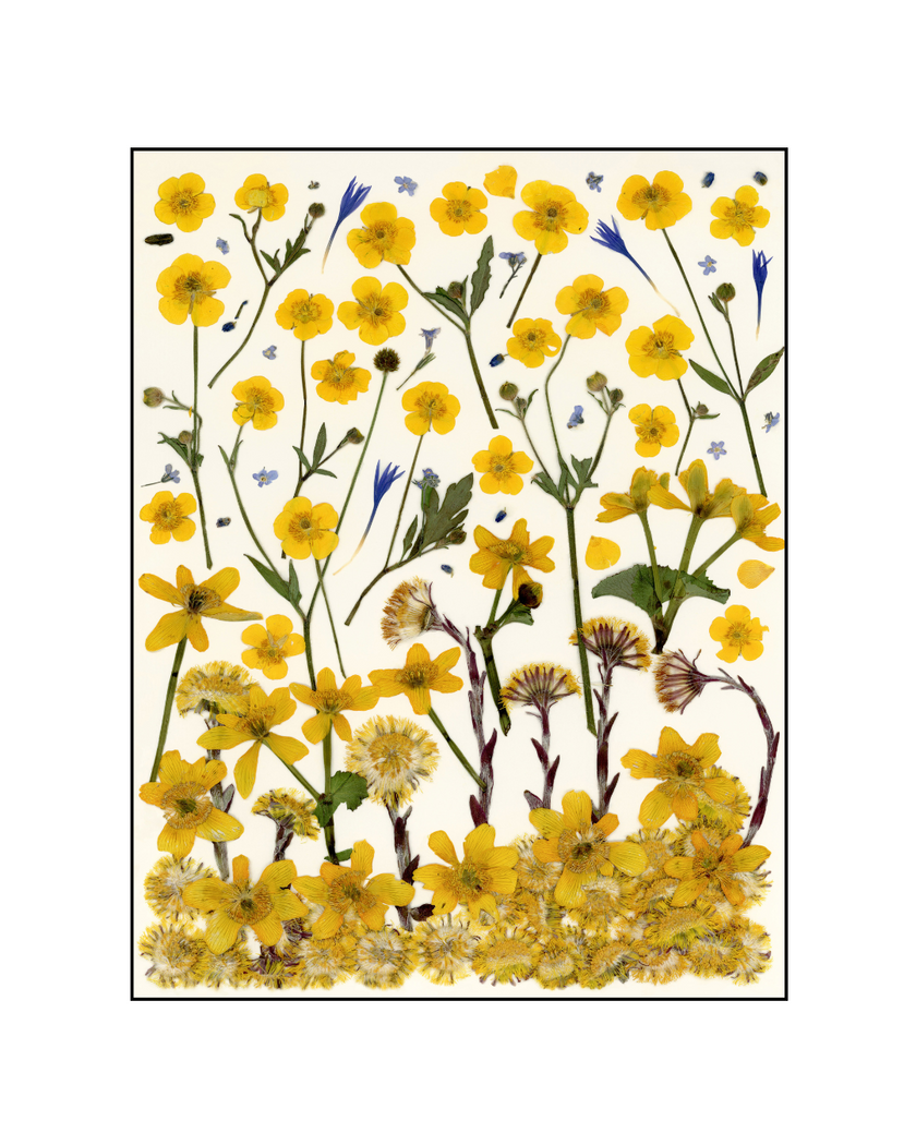 Cartes de souhaits