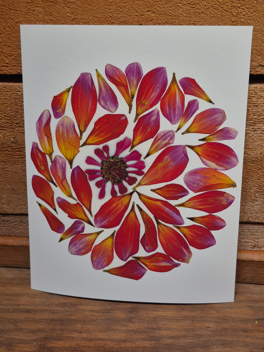 Oeuvre florale - Lune rose