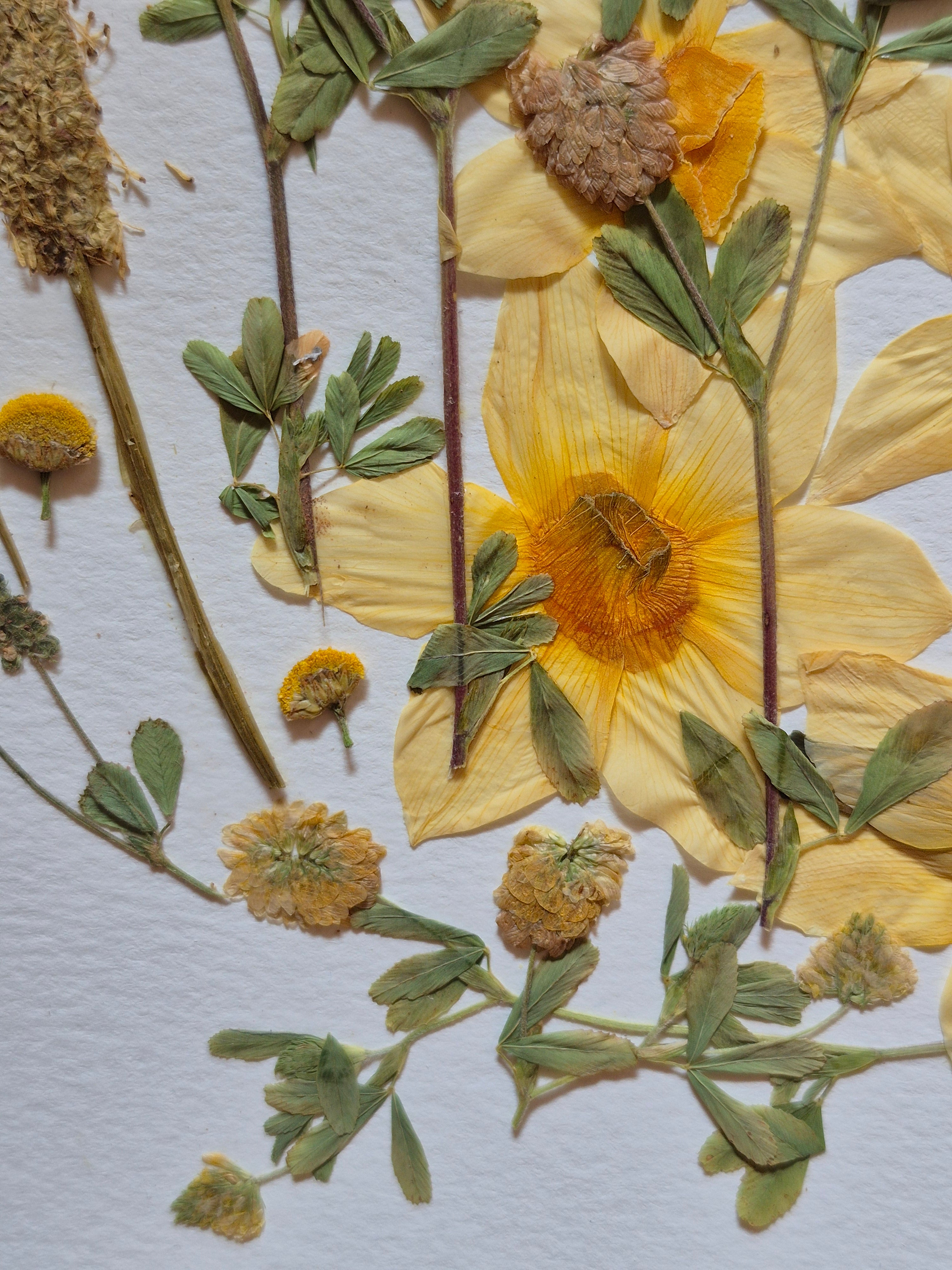 Oeuvre florale- Lune du cerf