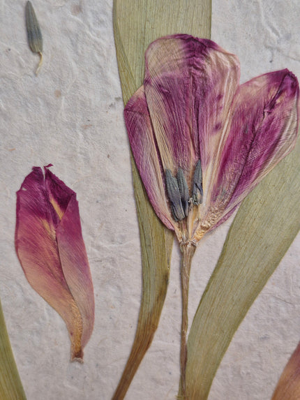 Composition florale artisanale sur papier Lokta 