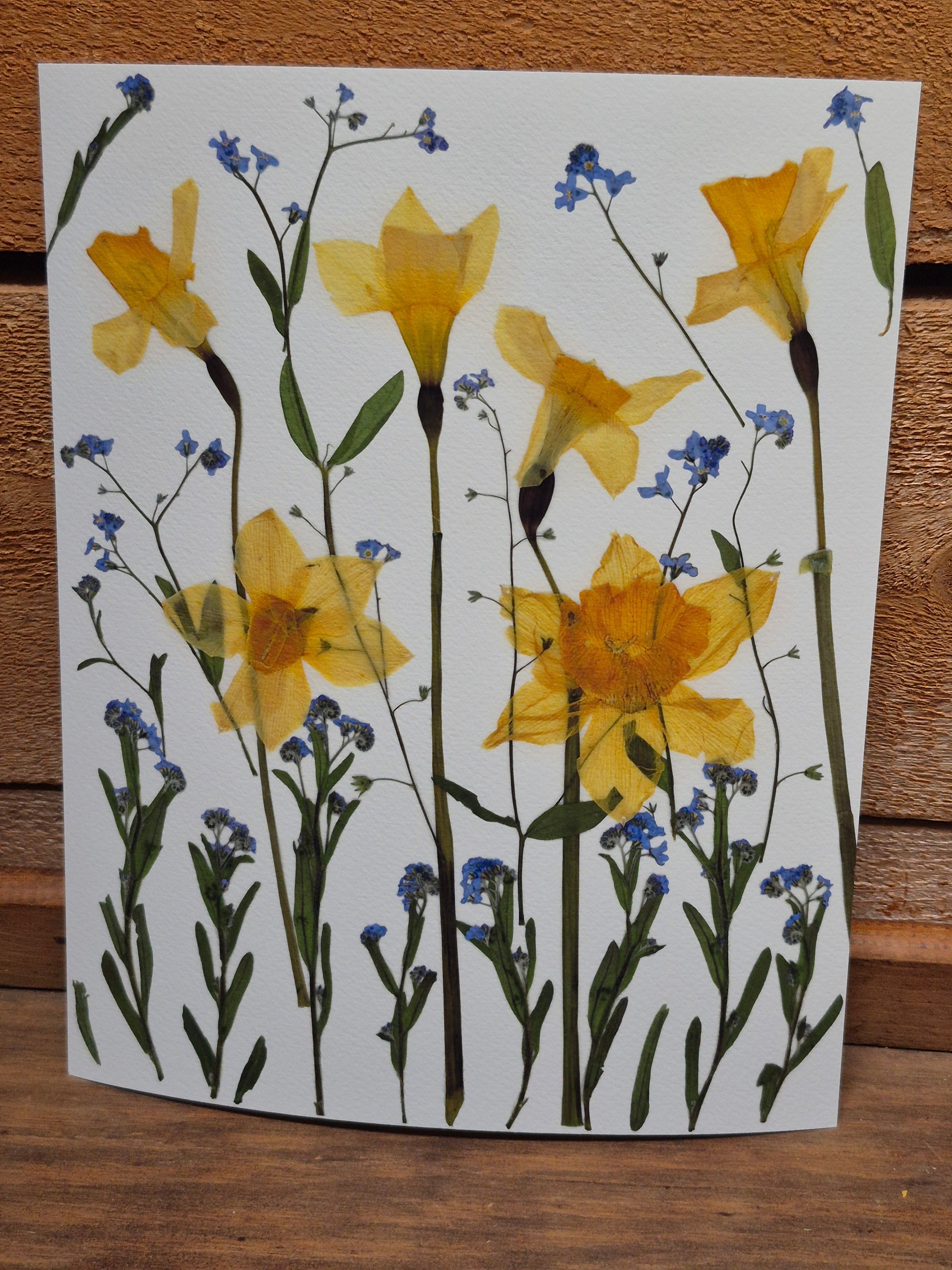 Oeuvre florale - Champ fleuri variation 2
