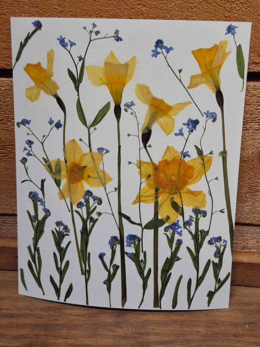 Oeuvre florale - Champ fleuri variation 2