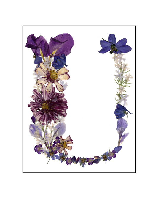 Affiche - Alphabet Floral - U (8"x10")