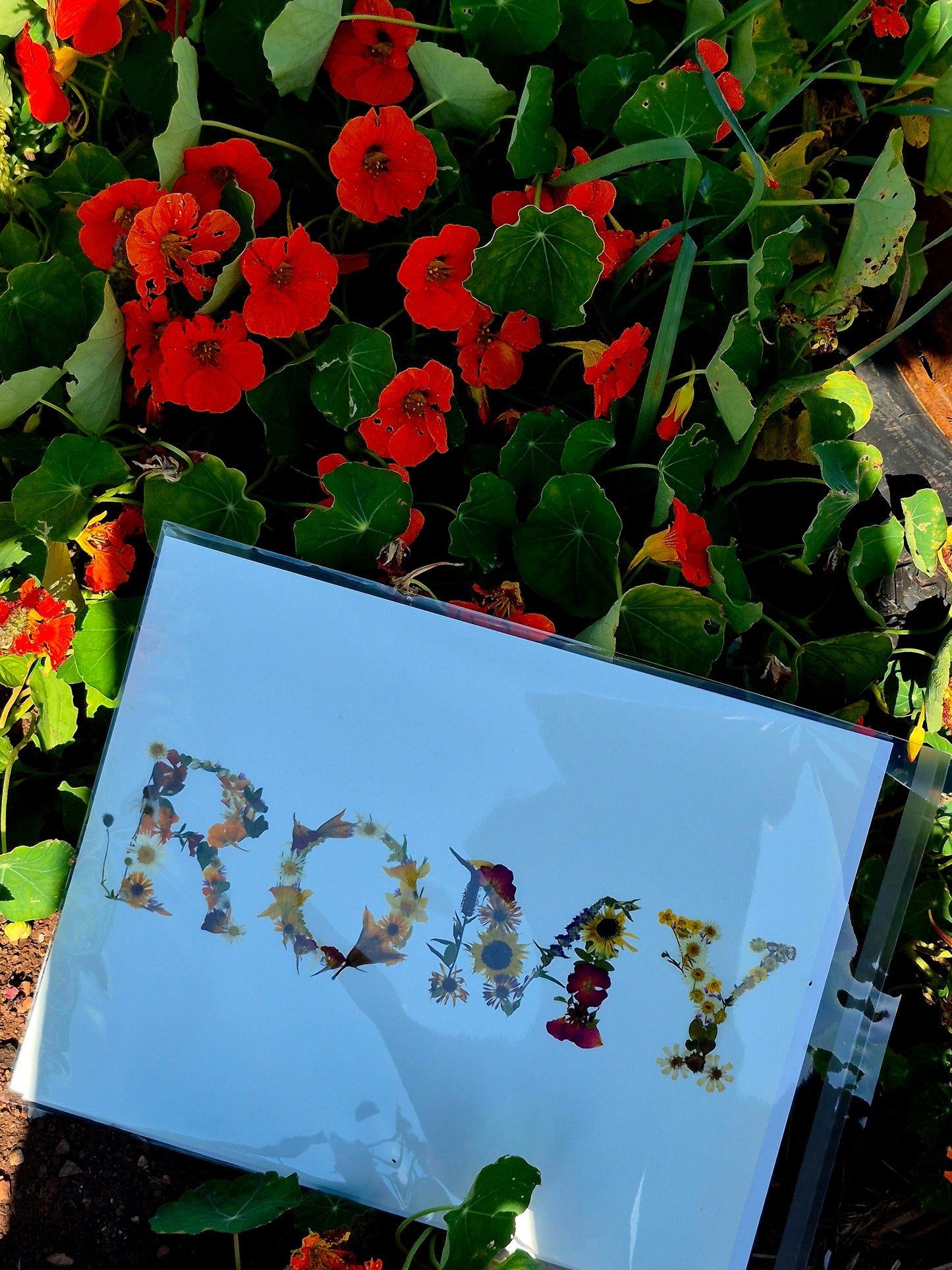 Affiche - Prénom lettres florales 8"x10