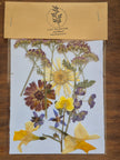Sachets de fleurs pressées naturelles