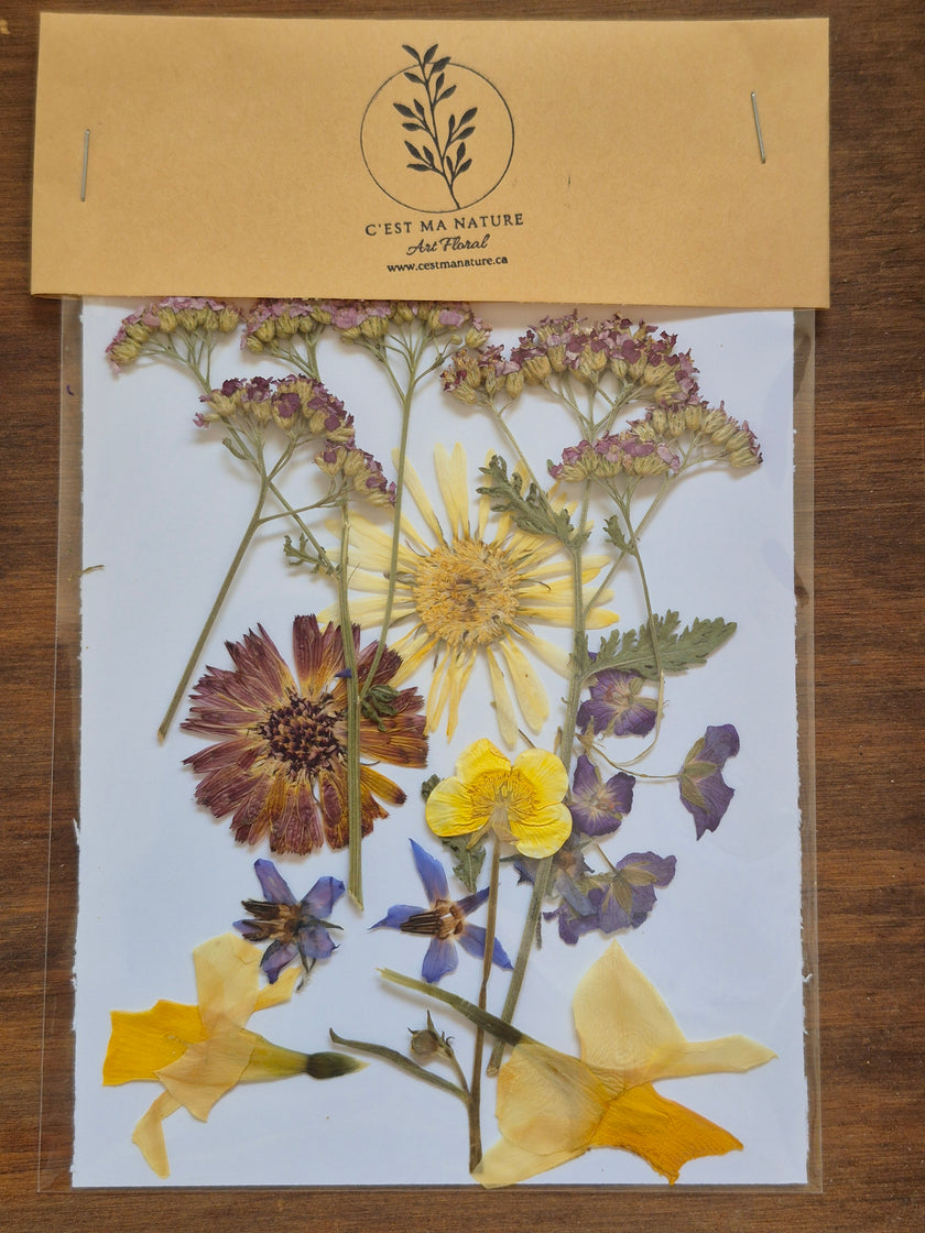 Sachets de fleurs pressées naturelles