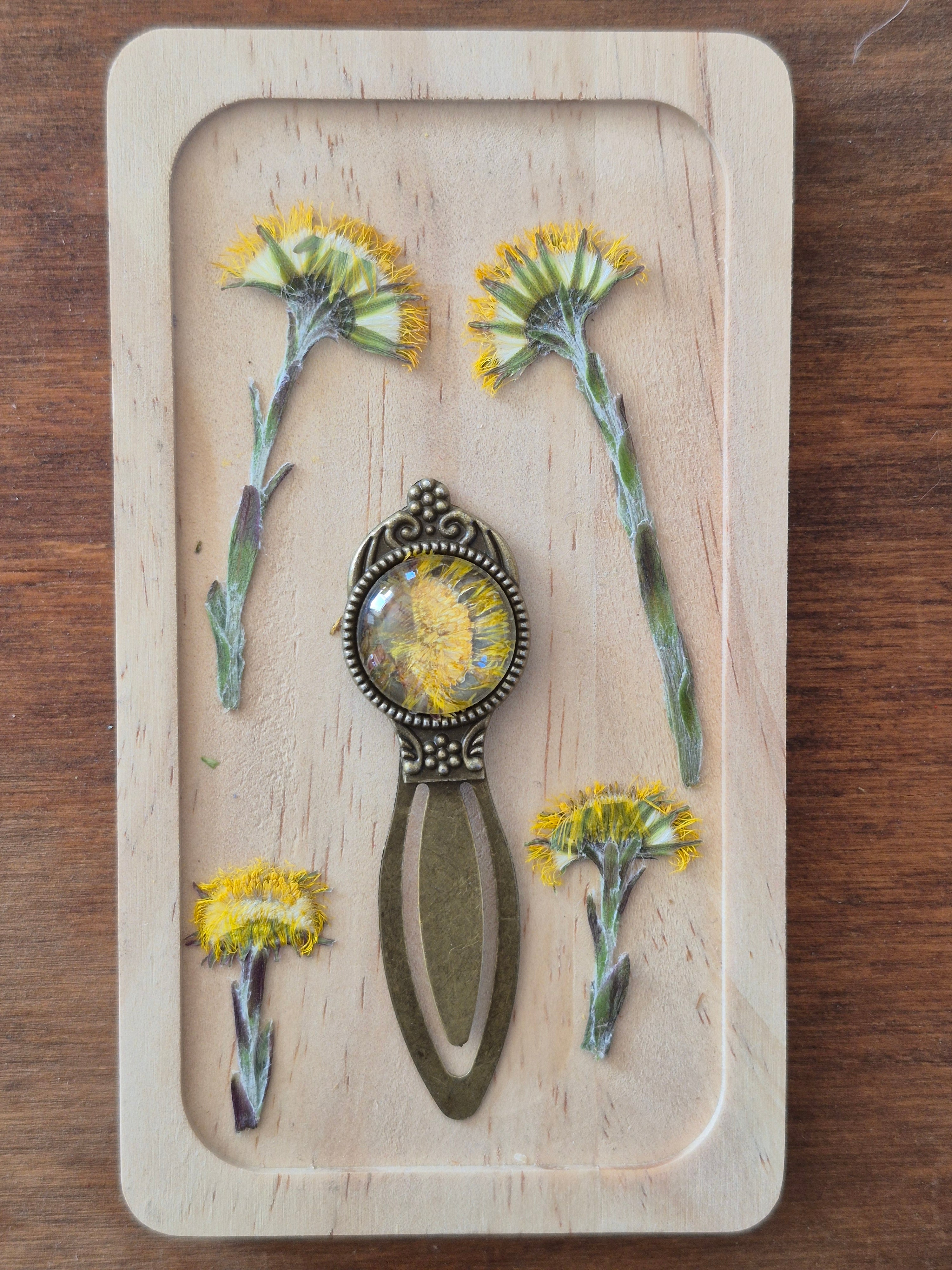Marque-page vintage - Tussilage