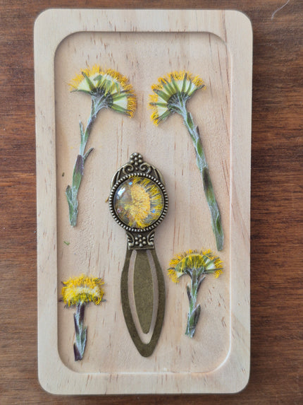 Marque-page vintage - Tussilage