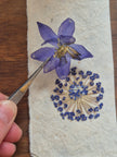 Sachets de fleurs pressées naturelles