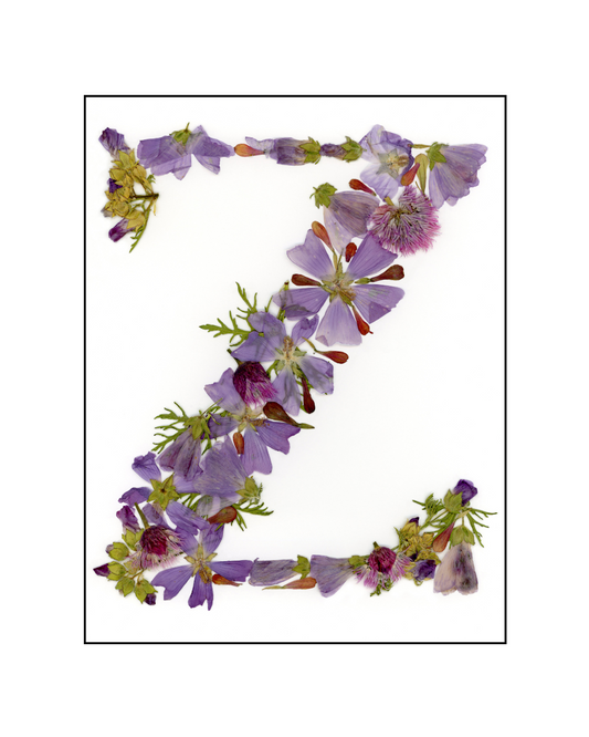 Affiche - Alphabet Floral - Z (8"x10")