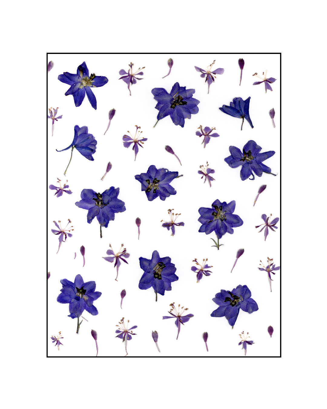 Cartes de souhaits