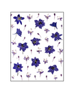 Cartes de souhaits