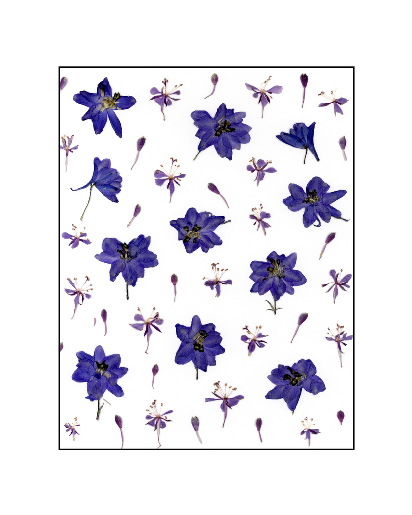 Cartes de souhaits