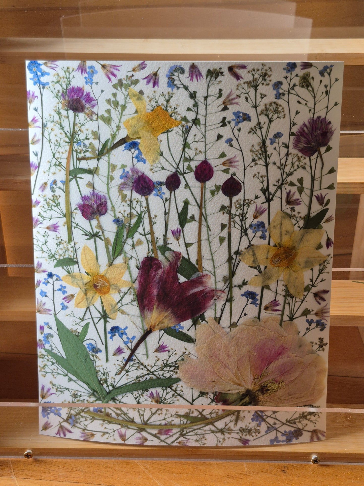 Affiche - Champ fleuri (8"x10")