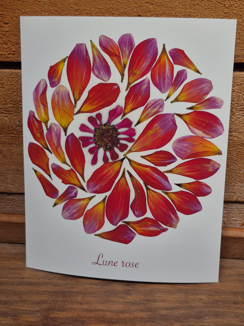 Oeuvre florale - Lune rose