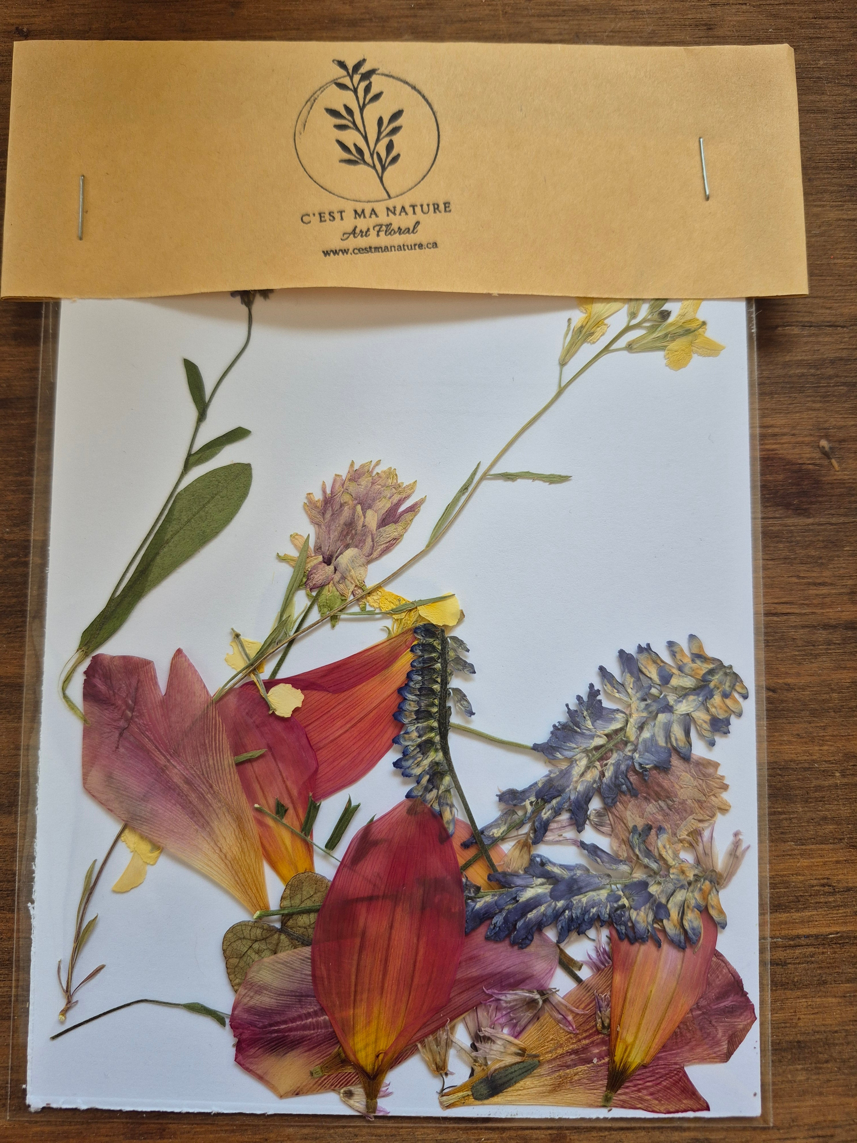 Sachets de fleurs pressées naturelles