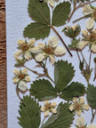 Oeuvre florale- Lune des fraises