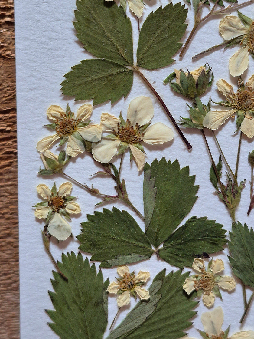 Oeuvre florale- Lune des fraises