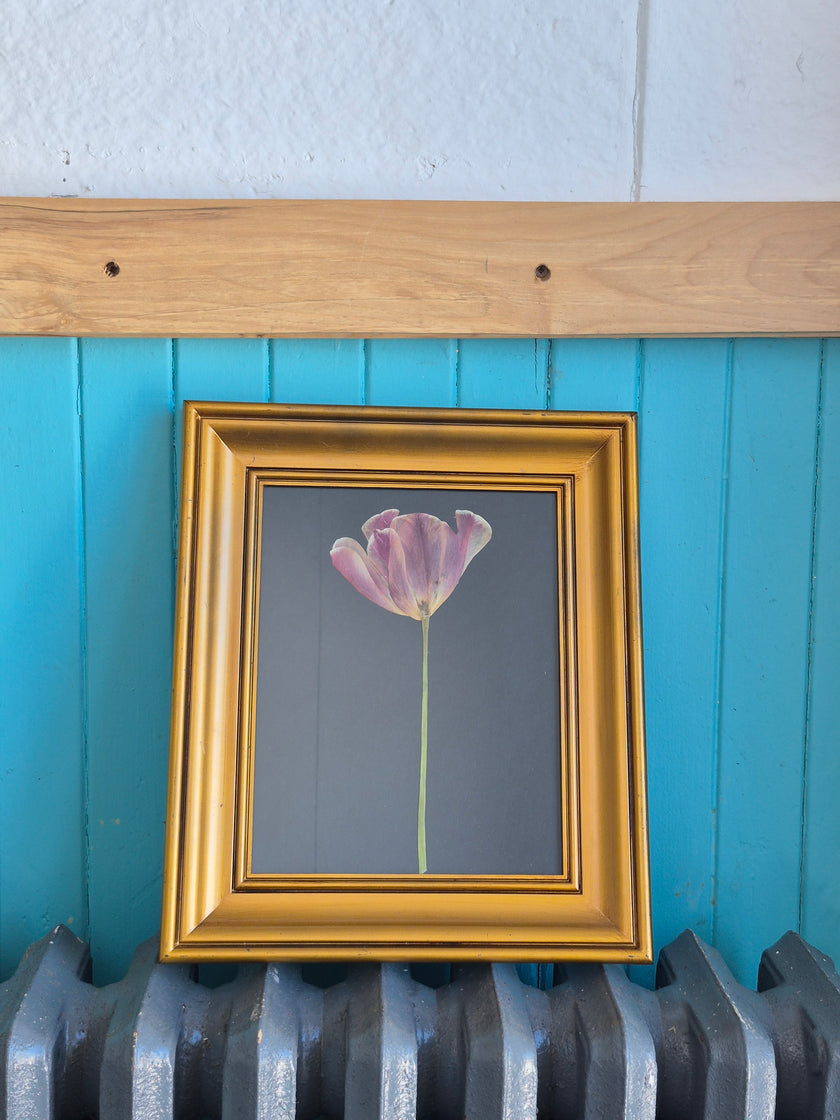 Cadre floral tulipe II