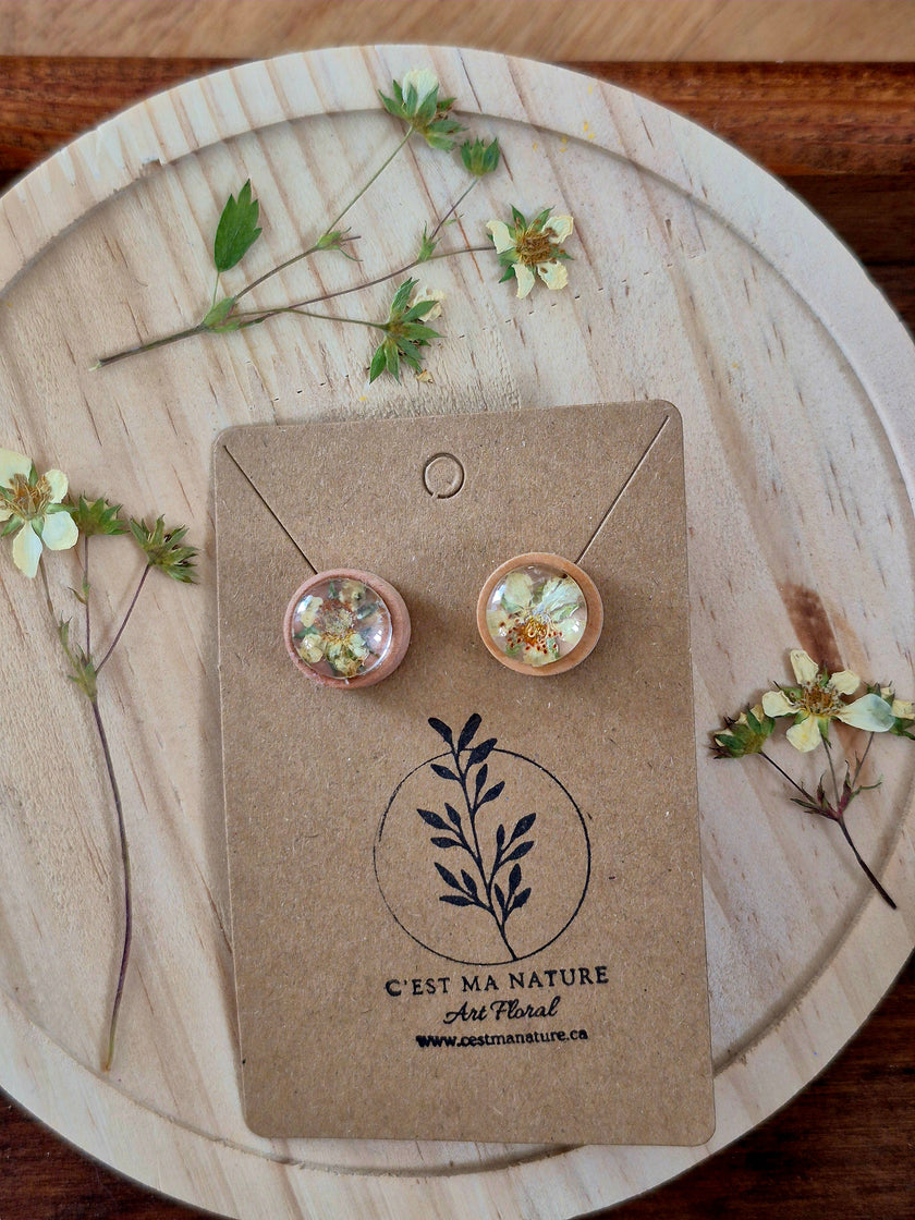 Boucle d'oreilles 