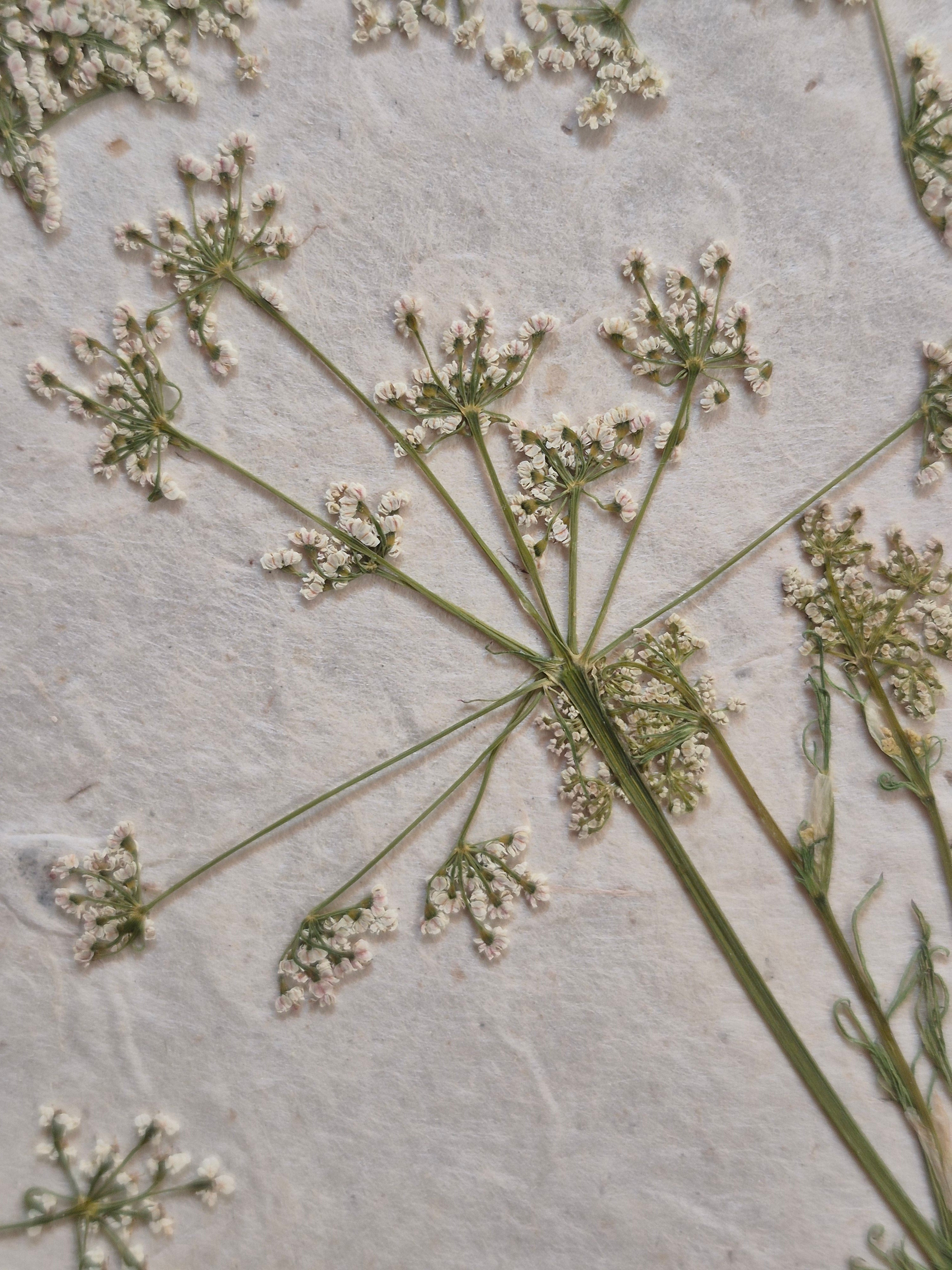 Composition florale artisanale sur papier Lokta 