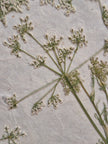 Composition florale artisanale sur papier Lokta 