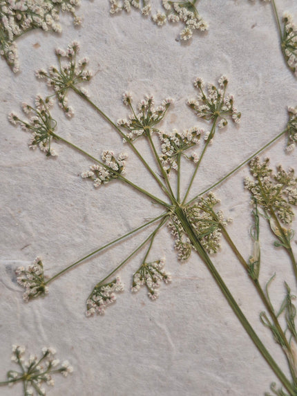 Composition florale artisanale sur papier Lokta 