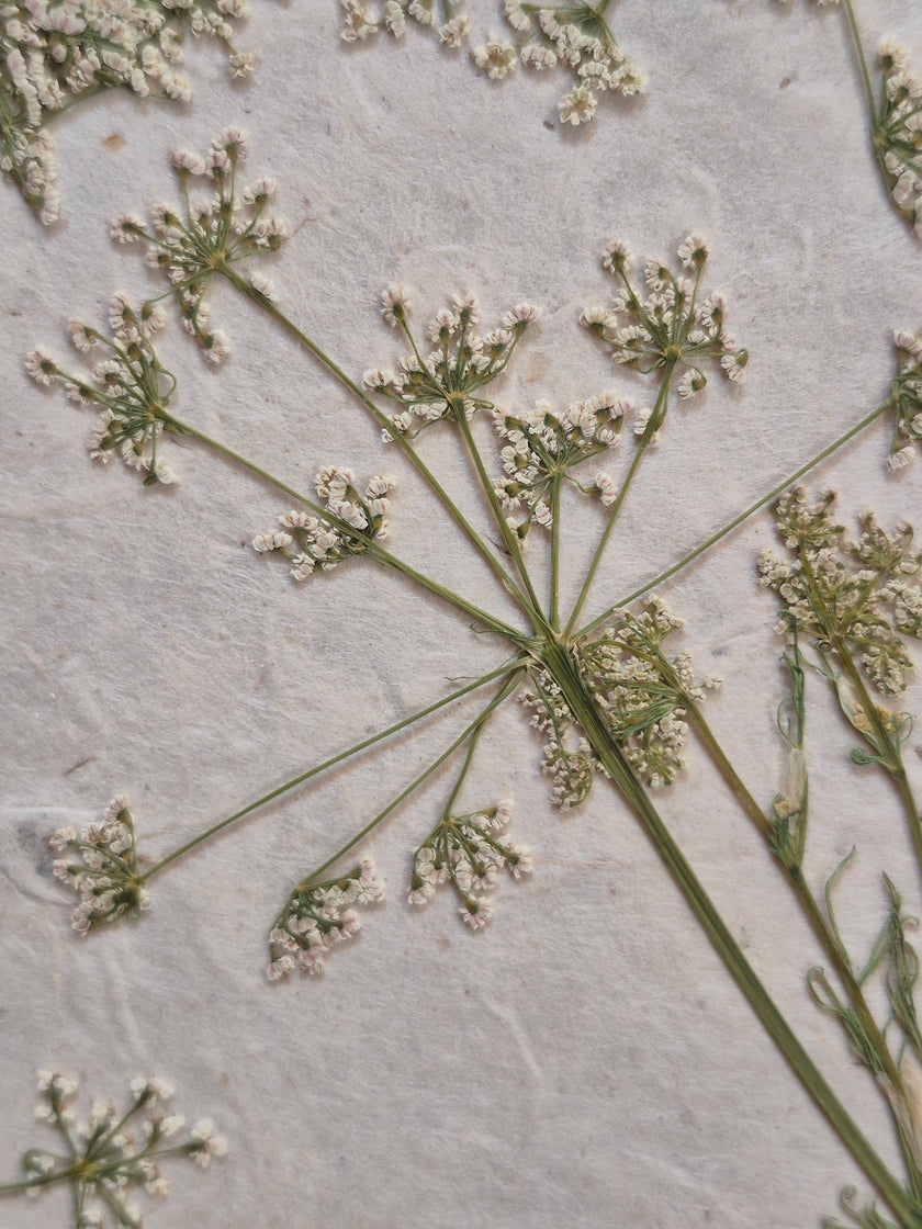Composition florale artisanale sur papier Lokta 