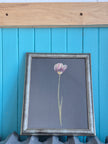 Cadre floral - Tulipe gracieuse