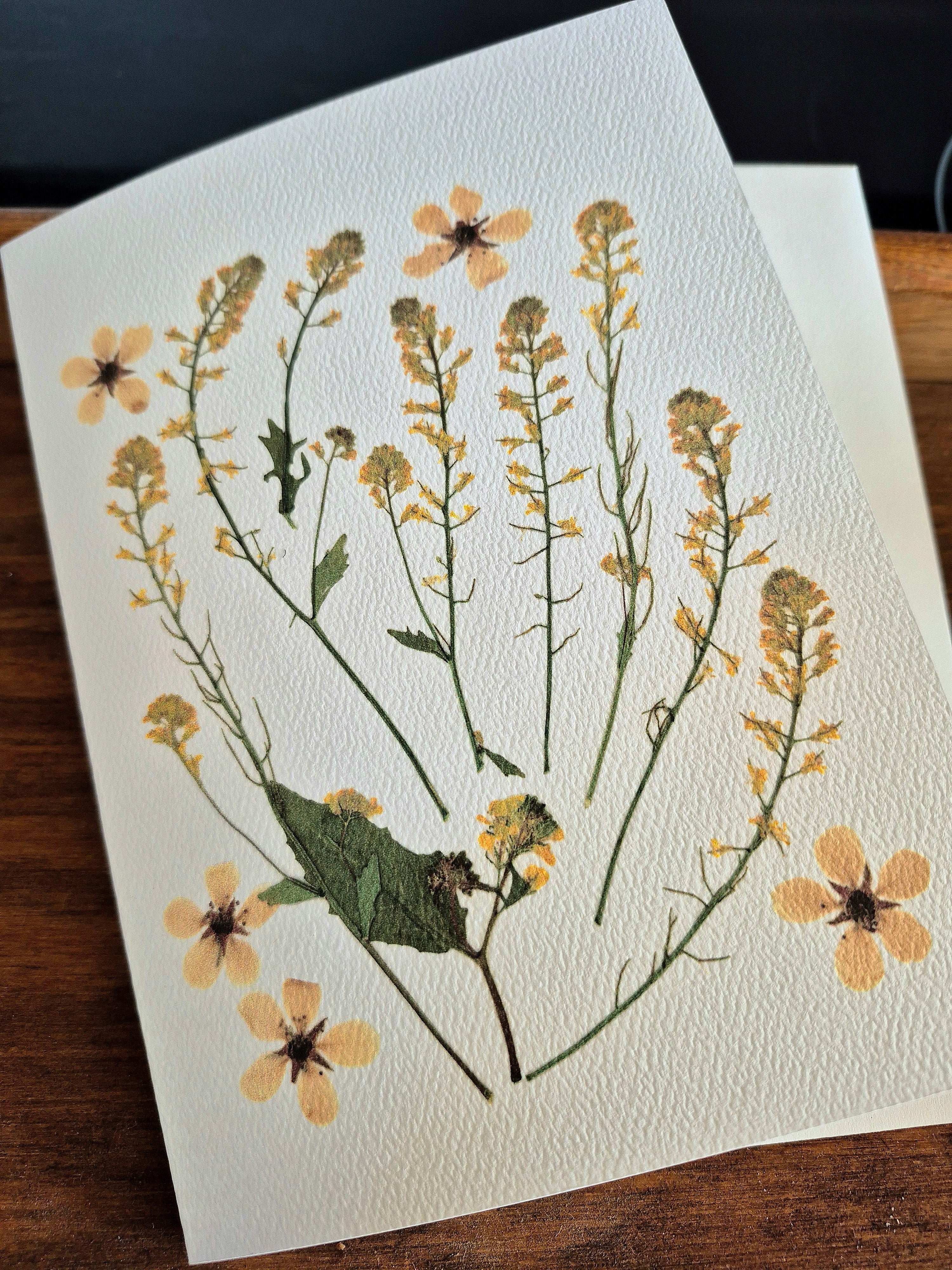 Cartes de souhaits