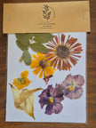 Sachets de fleurs pressées naturelles