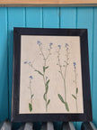 Cadre floral Myosotis