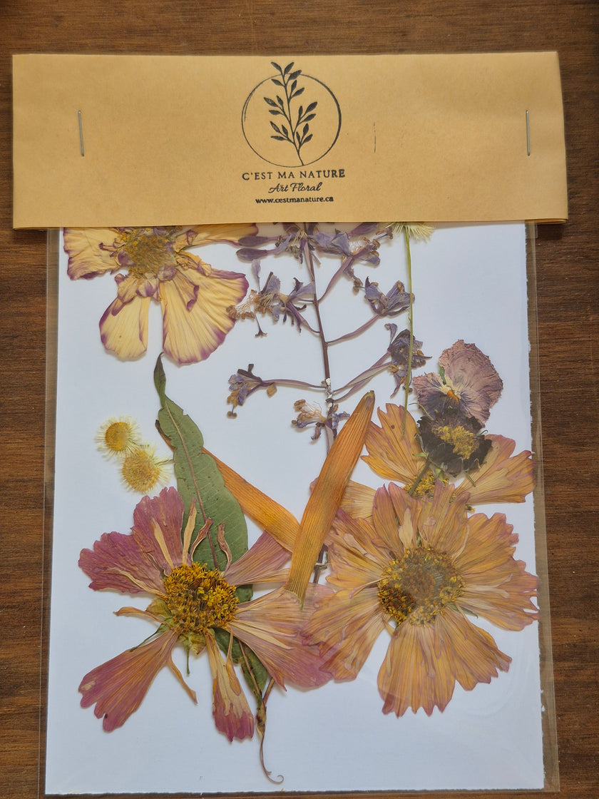 Sachets de fleurs pressées naturelles